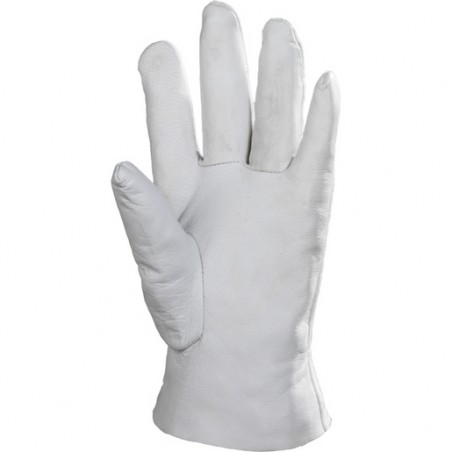 Gants maîtrise + dos en toile